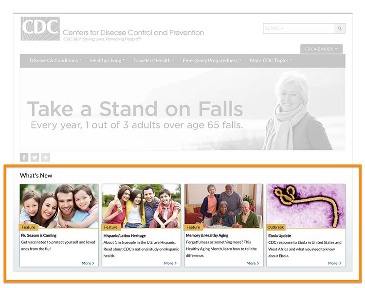 Screenshot of cdc.gov next and back buttons on the all outbreaks topic