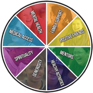 Image of the Sources of Strength wheel, which lists: mental health, family support, positive friends, mentors, healthy activities, generosity, spirituality, and medical access