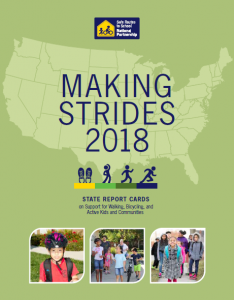 Making Strides 2018 Report Cover