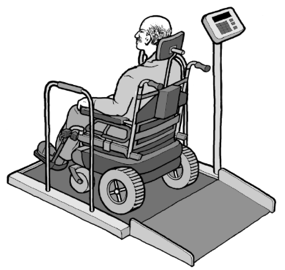 Wheelchair-Accessible Scale Graphic