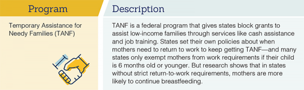 Temporary Assistance for Needy Families (TANF) is a federal program that gives states block grants to assist low-income families through services like cash assistance and job training.