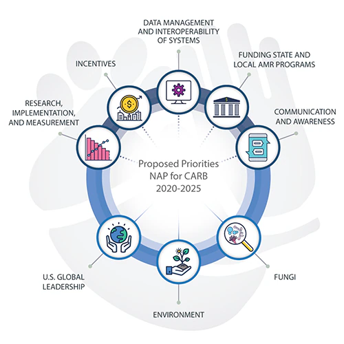 Proposed Priorities NAP for CARB 2020-2025 graphic