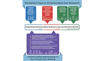 Infographic for P A C C A R B Report “Bridging the Gap: Improving Antimicrobial Access and Use Across One Health.”